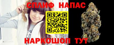 ECSTASY Кимры
